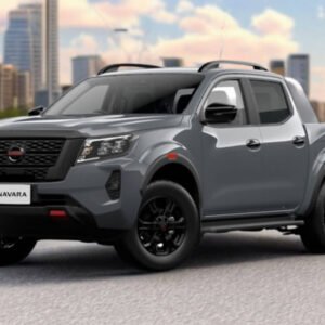Pick-up ( Pro4x or Similar) - 4 x 4