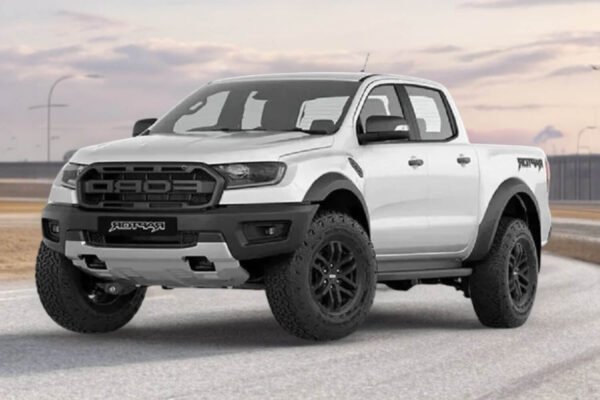 Pick-up ( Pro4x or Similar) - 4 x 4 - Image 2