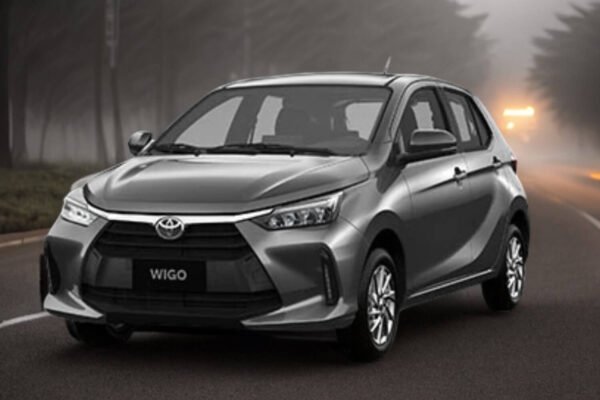 Wigo G 2024 - Gray